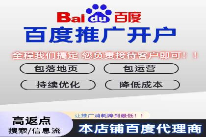 顶级SEM运营公司案例分析
